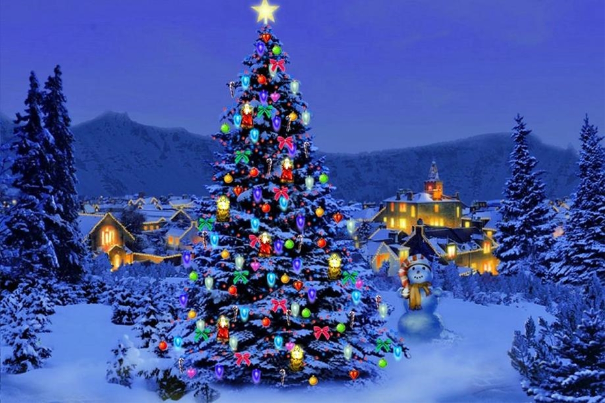 Cây thông tượng trưng cho mùa Giáng sinh có nguồn gốc lâu đời