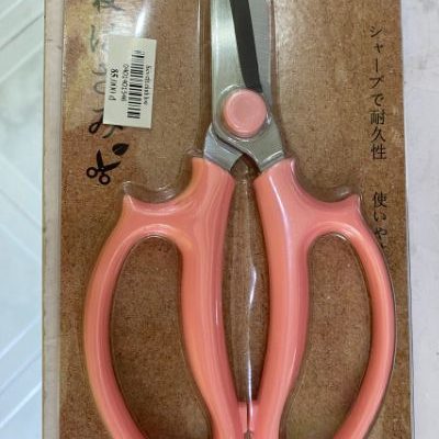 Kéo cắt cành hoa tươi