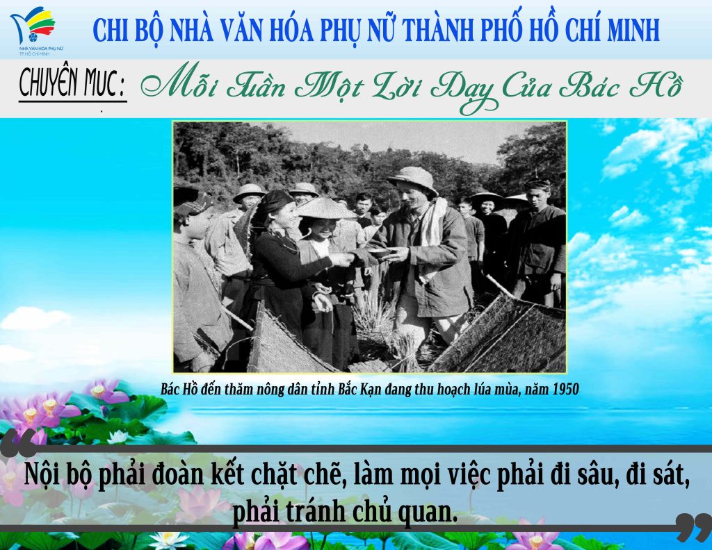upwebtuan 81
