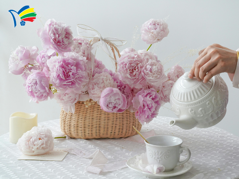Lẵng hoa cẩm tú cầu