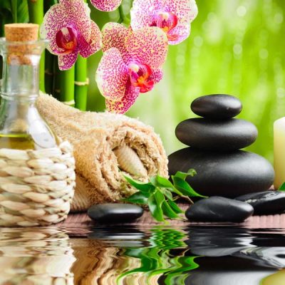 QUẢN LÝ SPA CHUYÊN SÂU – KHÓA 10/2026 (CƠ SỞ PHAN XÍCH LONG)